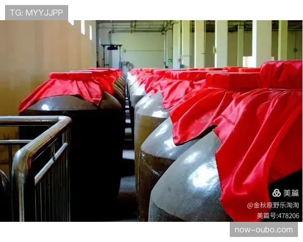 河南赊店老酒年轻后卫群表现抢眼 多次打出精彩快攻 河南赊店老酒年轻后卫群表现抢眼 多次打出精彩快攻